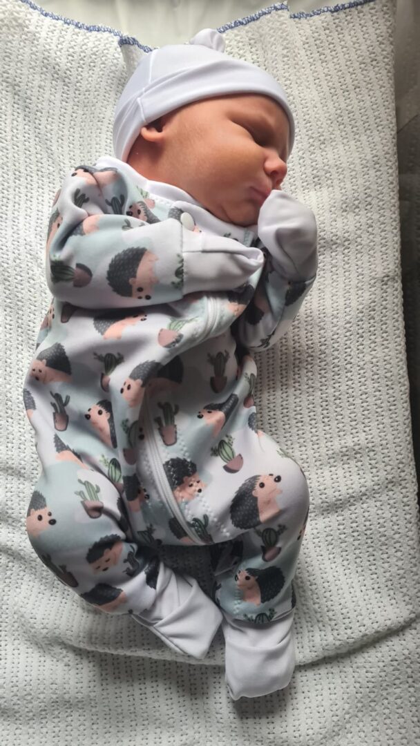 On Order Porcupine Babygrow - Image 2