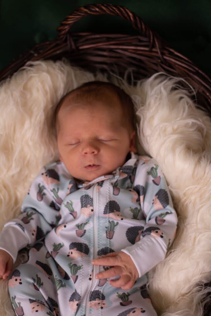On Order Porcupine Babygrow - Image 3